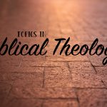 Biblical Studies vs Theology