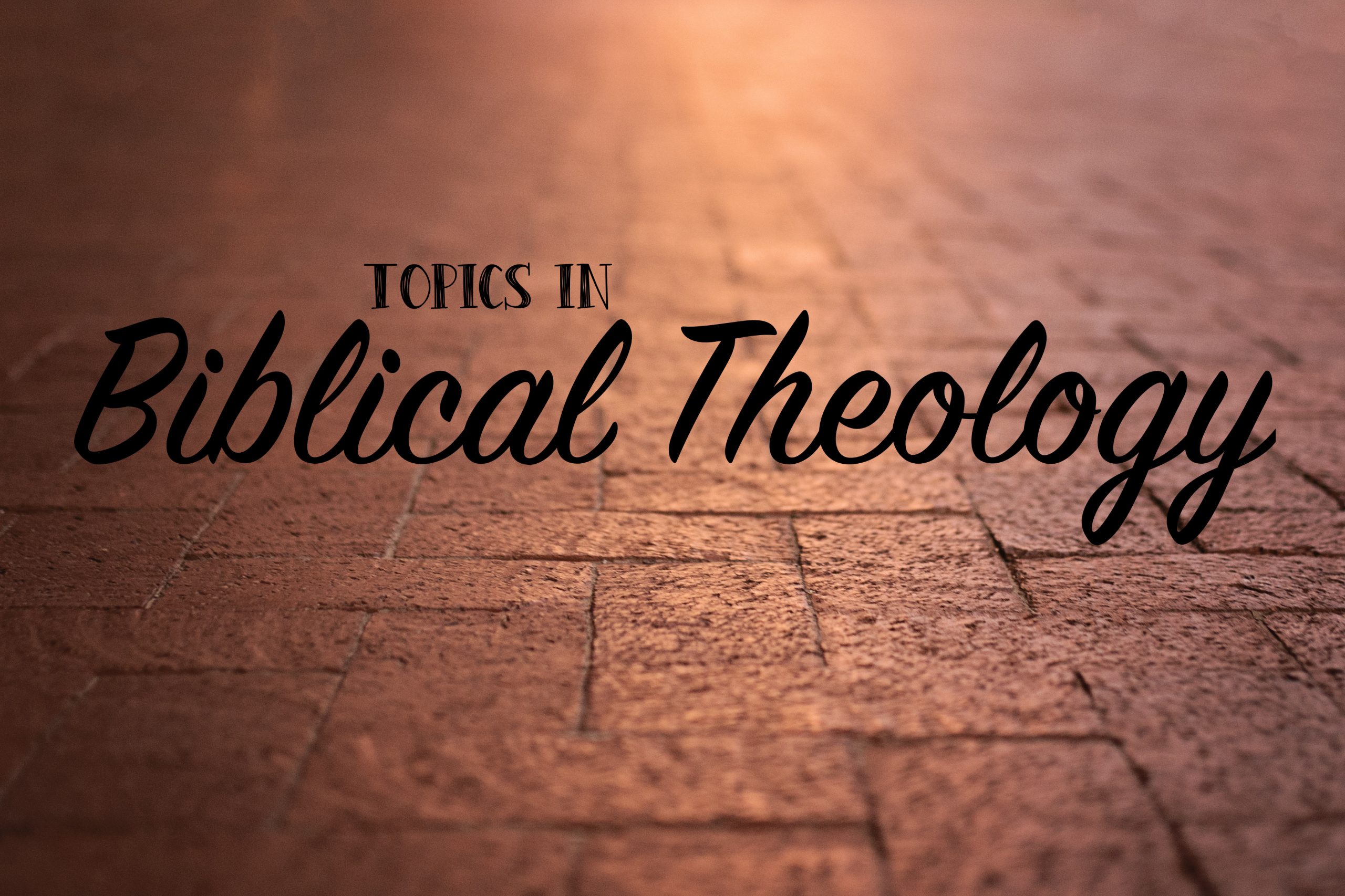 Biblical Studies vs Theology